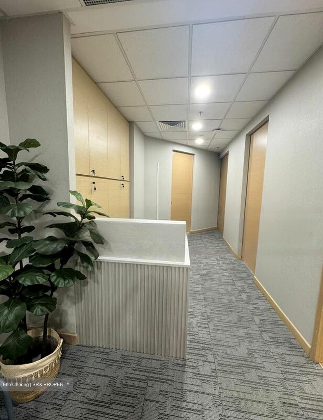 Gleneagles Hospital (D10), Retail #568021271